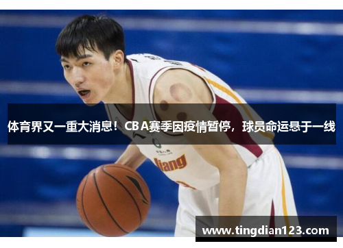 体育界又一重大消息！CBA赛季因疫情暂停，球员命运悬于一线