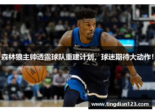 森林狼主帅透露球队重建计划，球迷期待大动作！