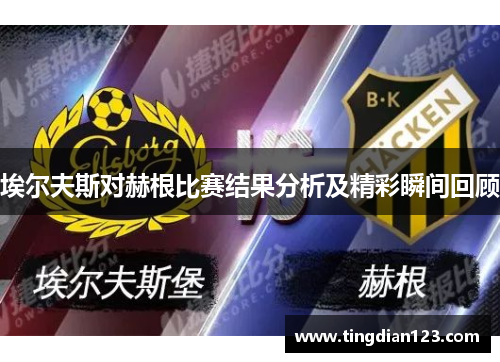 埃尔夫斯对赫根比赛结果分析及精彩瞬间回顾