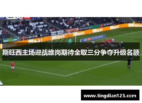 斯旺西主场迎战维岗期待全取三分争夺升级名额